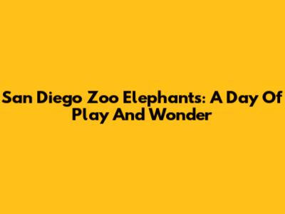 San Diego Zoo Elephants: A Day Of Play And Wonder