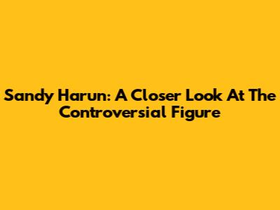 Sandy Harun: A Closer Look At The Controversial Figure