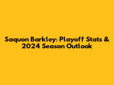 Saquon Barkley: Playoff Stats & 2024 Season Outlook