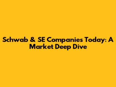 Schwab & SE Companies Today: A Market Deep Dive