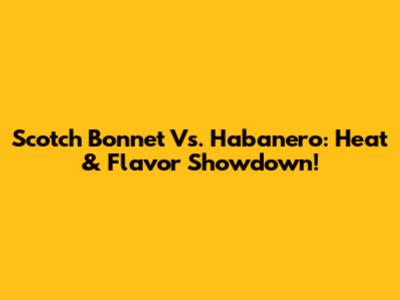 Scotch Bonnet Vs. Habanero: Heat & Flavor Showdown!