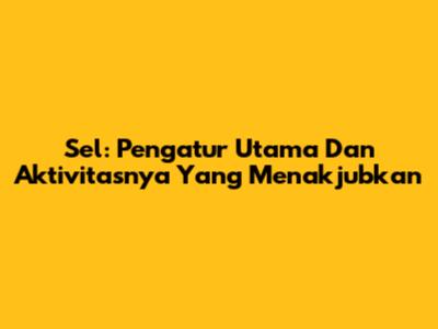 Sel: Pengatur Utama Dan Aktivitasnya Yang Menakjubkan