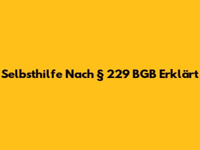 Selbsthilfe Nach § 229 BGB Erklärt
