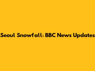 Seoul Snowfall: BBC News Updates