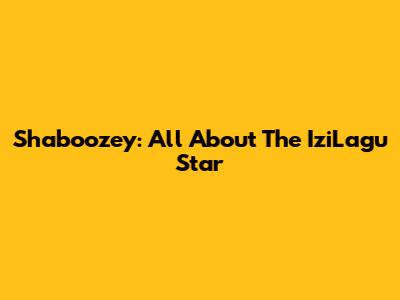 Shaboozey: All About The IziLagu Star