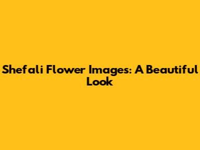 Shefali Flower Images: A Beautiful Look