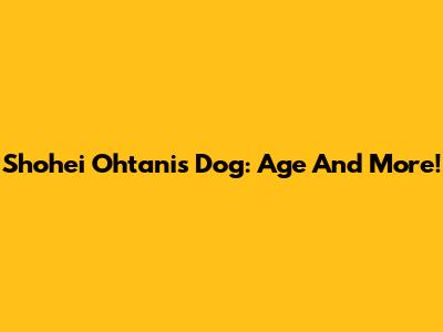 Shohei Ohtani's Dog: Age And More!