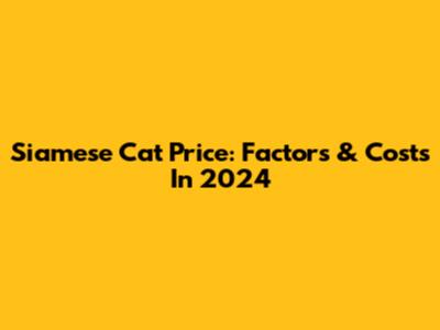 Siamese Cat Price: Factors & Costs In 2024