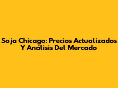 Soja Chicago: Precios Actualizados Y Análisis Del Mercado