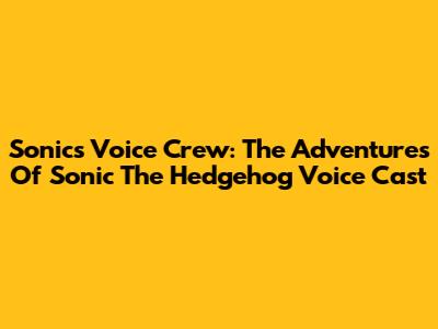 Sonic's Voice Crew: The Adventures Of Sonic The Hedgehog Voice Cast