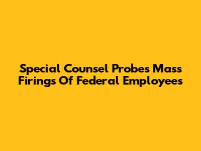 Special Counsel Probes Mass Firings Of Federal Employees