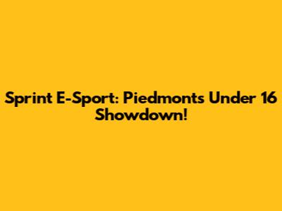 Sprint E-Sport: Piedmont's Under 16 Showdown!