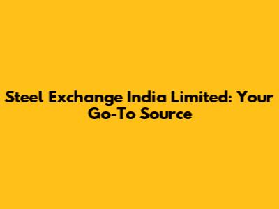 Steel Exchange India Limited: Your Go-To Source
