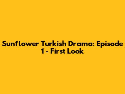 Sunflower Turkish Drama: Episode 1 - First Look