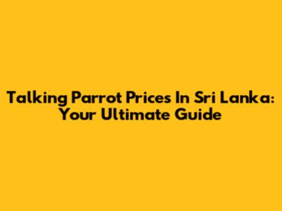 Talking Parrot Prices In Sri Lanka: Your Ultimate Guide