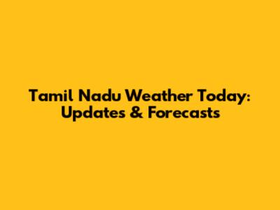 Tamil Nadu Weather Today: Updates & Forecasts