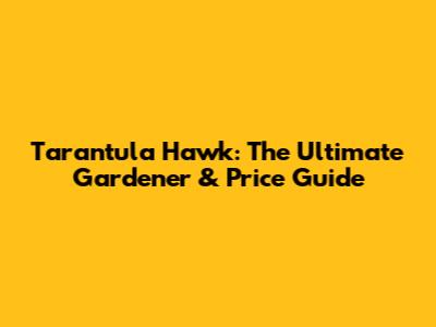 Tarantula Hawk: The Ultimate Gardener & Price Guide