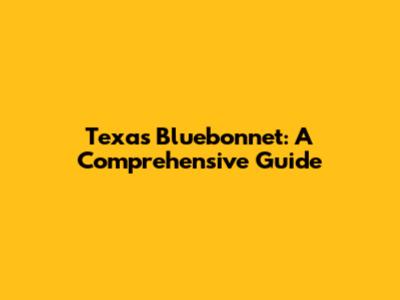 Texas Bluebonnet: A Comprehensive Guide
