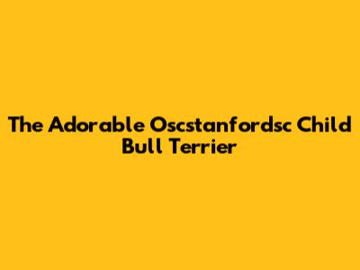 The Adorable Oscstanfordsc Child Bull Terrier