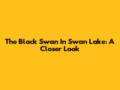 The Black Swan In Swan Lake: A Closer Look