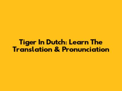 Tiger In Dutch: Learn The Translation & Pronunciation