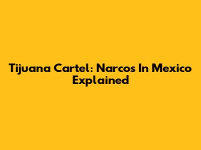Tijuana Cartel: Narcos In Mexico Explained