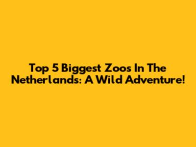 Top 5 Biggest Zoos In The Netherlands: A Wild Adventure!