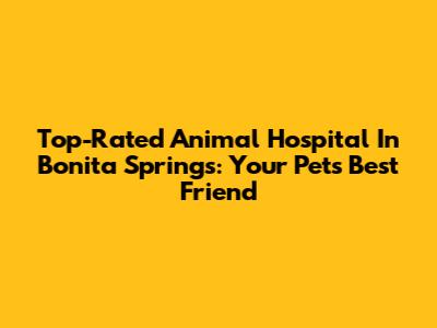Top-Rated Animal Hospital In Bonita Springs: Your Pet's Best Friend