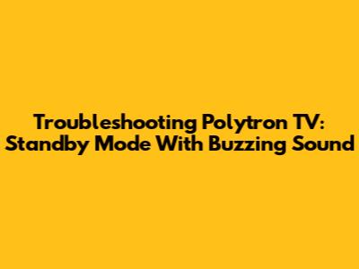 Troubleshooting Polytron TV: Standby Mode With Buzzing Sound