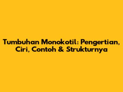 Tumbuhan Monokotil: Pengertian, Ciri, Contoh & Strukturnya