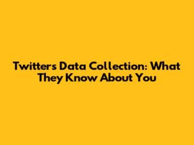 Twitter's Data Collection: What They Know About You