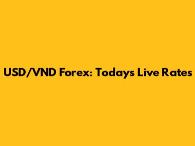 USD/VND Forex: Today's Live Rates