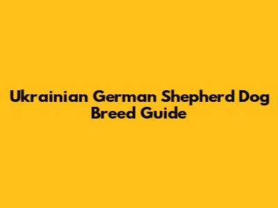 Ukrainian German Shepherd Dog Breed Guide