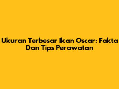 Ukuran Terbesar Ikan Oscar: Fakta Dan Tips Perawatan