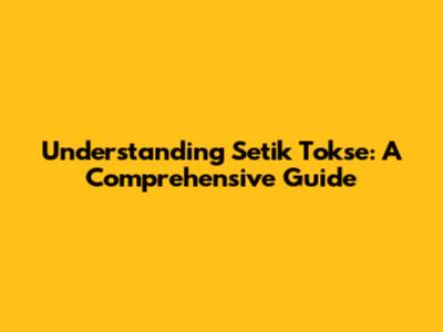 Understanding Setik Tokse: A Comprehensive Guide