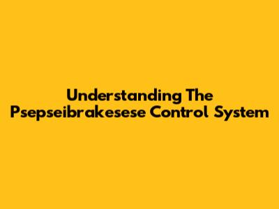 Understanding The Psepseibrakesese Control System