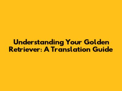 Understanding Your Golden Retriever: A Translation Guide