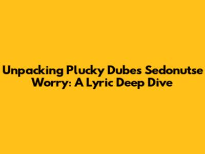 Unpacking Plucky Dube's 'Sedonu'tse Worry': A Lyric Deep Dive