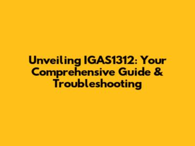 Unveiling IGAS1312: Your Comprehensive Guide & Troubleshooting