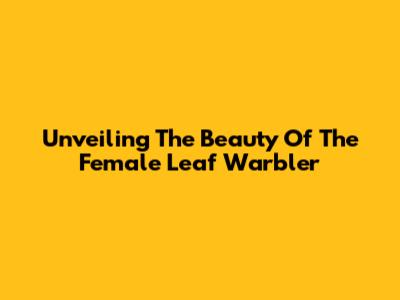Unveiling The Beauty Of The Female Leaf Warbler