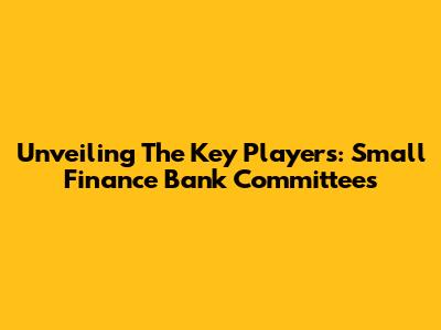 Unveiling The Key Players: Small Finance Bank Committees