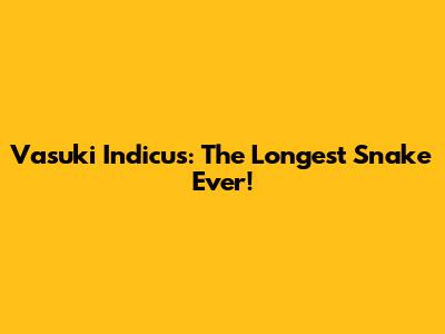 Vasuki Indicus: The Longest Snake Ever!