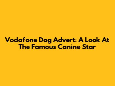 Vodafone Dog Advert: A Look At The Famous Canine Star