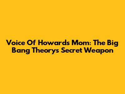 Voice Of Howard's Mom: The Big Bang Theory's Secret Weapon