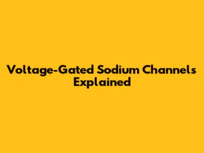 Voltage-Gated Sodium Channels Explained