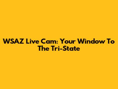 WSAZ Live Cam: Your Window To The Tri-State