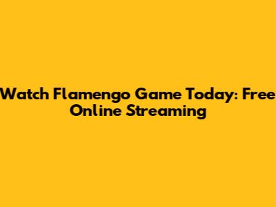Watch Flamengo Game Today: Free Online Streaming