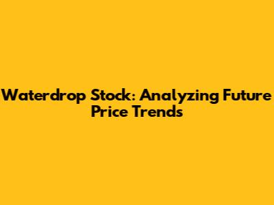 Waterdrop Stock: Analyzing Future Price Trends
