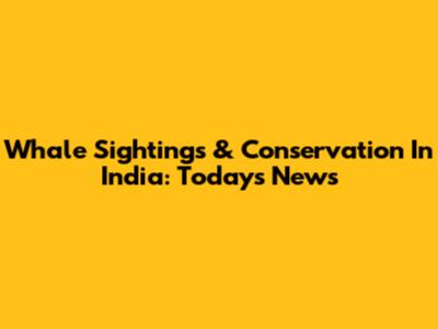 Whale Sightings & Conservation In India: Today's News