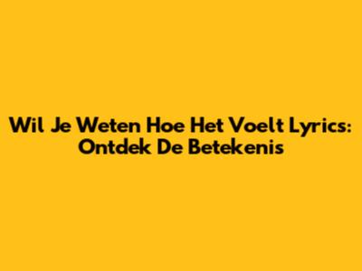Wil Je Weten Hoe Het Voelt Lyrics: Ontdek De Betekenis